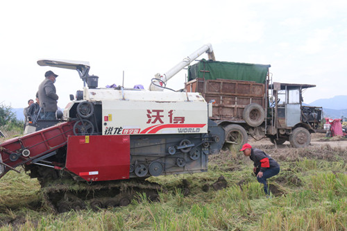 /gb2312/qishiyegonghui/11131.html